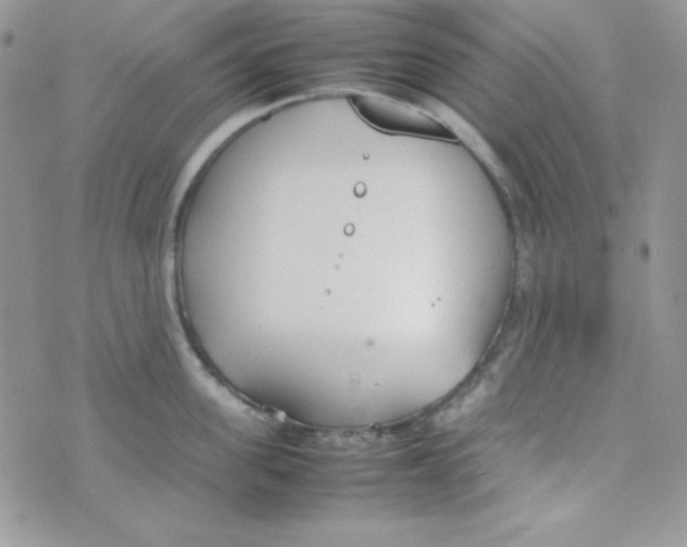 X0000074930955200609291754