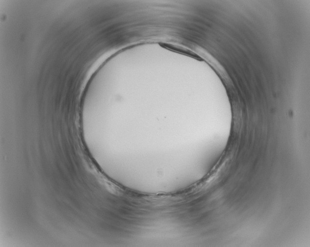 X0000074930956200609291754