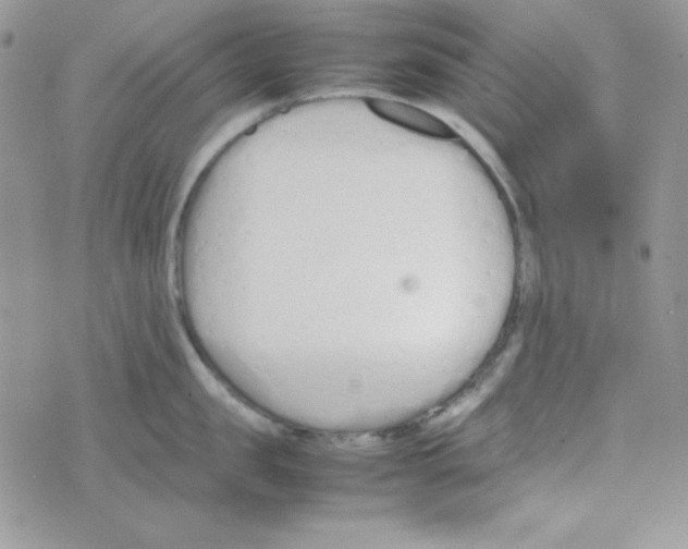 X0000074930957200609291754