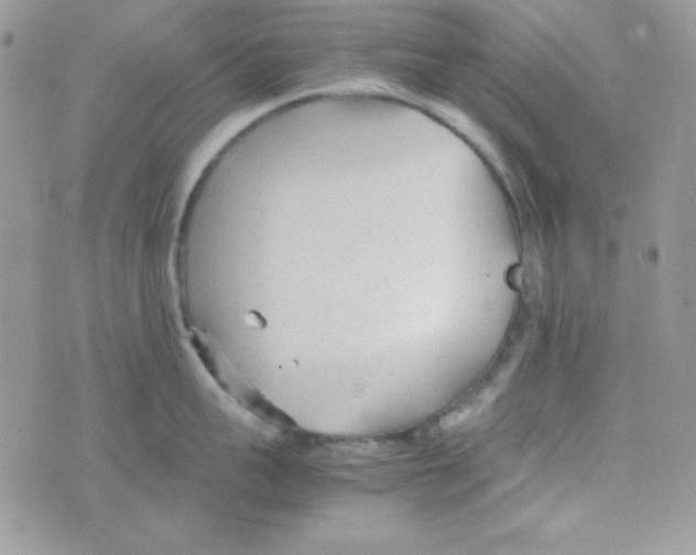 X0000074930959200609291754