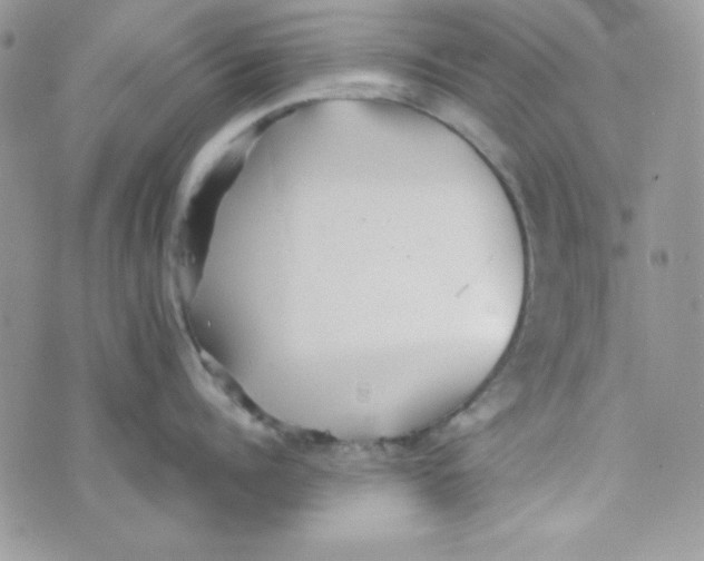 X0000074930960200609291754