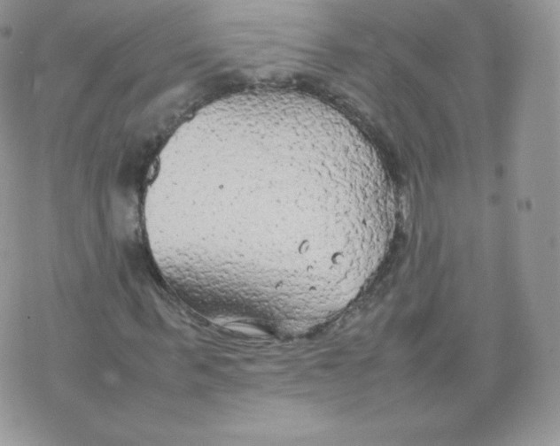 X0000074930963200609291753