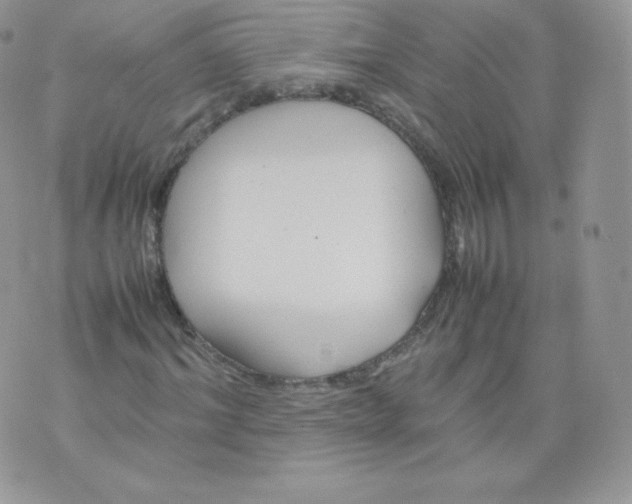 X0000074930964200609291753