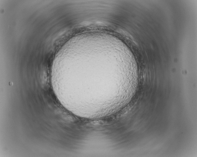 X0000074930966200609291753