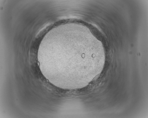 X0000074930967200609291753