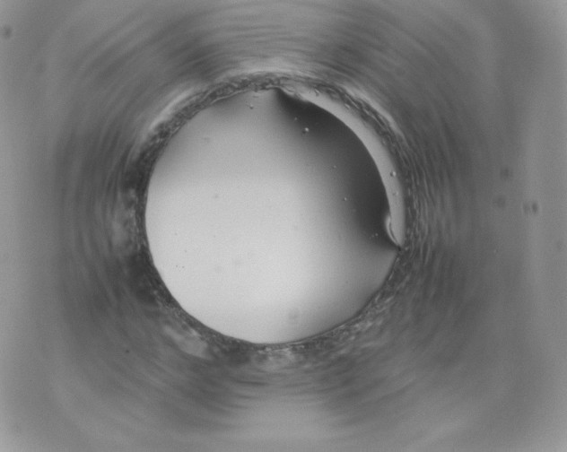 X0000074930968200609291753