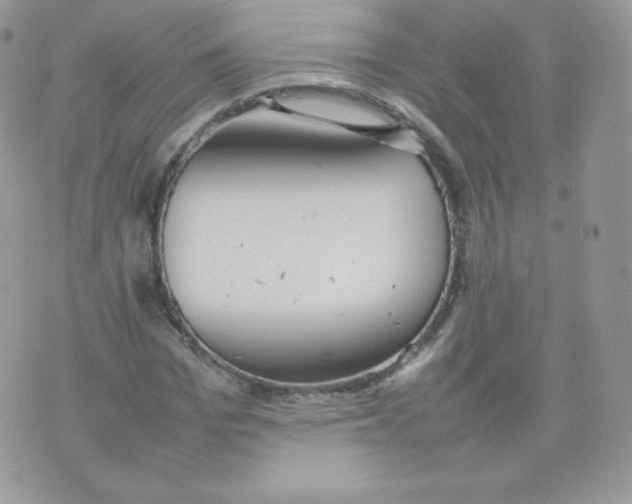 X0000074930969200609291753