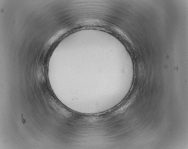 X0000074930970200609291753