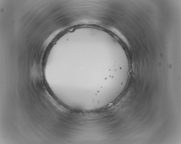 X0000074930972200609291753