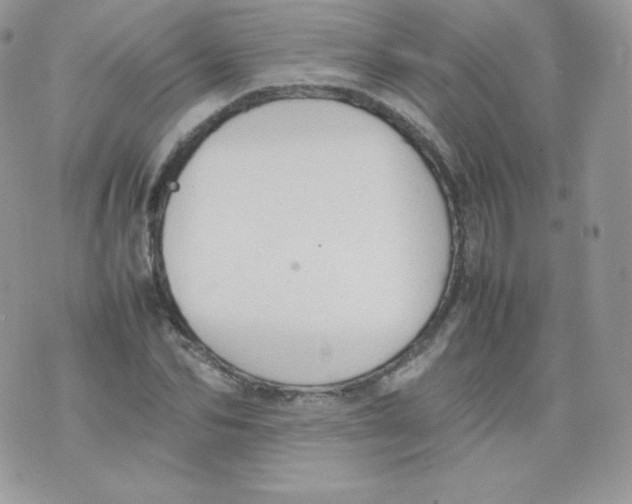 X0000074930974200609291753