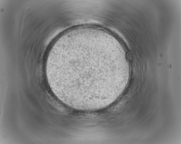 X0000074930975200609291753