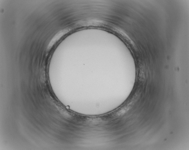 X0000074930978200609291753