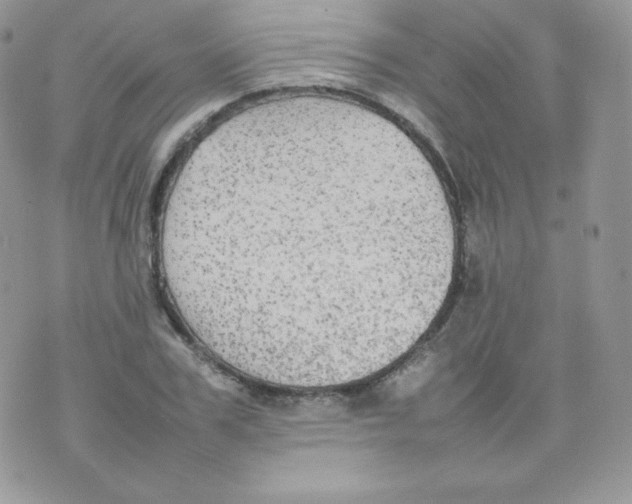 X0000074930979200609291753