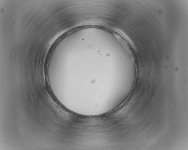 X0000074930980200609291753