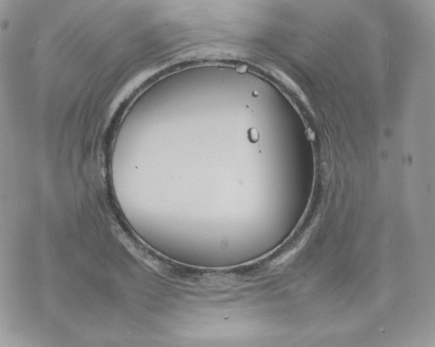 X0000074930981200609291753