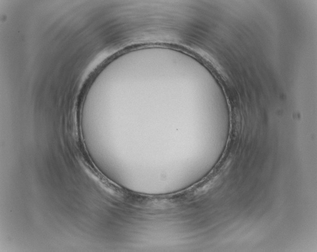 X0000074930982200609291753