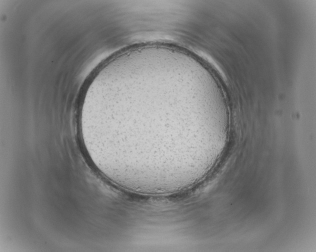 X0000074930983200609291753