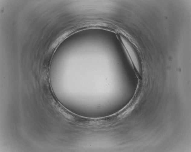 X0000074930985200609291753