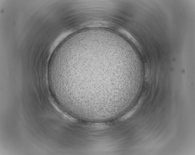 X0000074930986200609291753