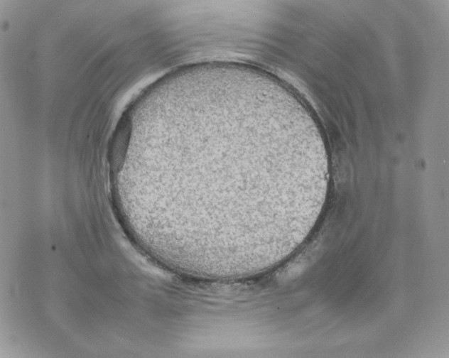 X0000074930987200609291753