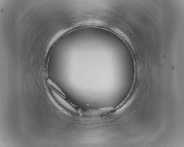 X0000074930989200609291753