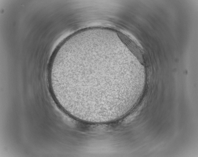 X0000074930991200609291753