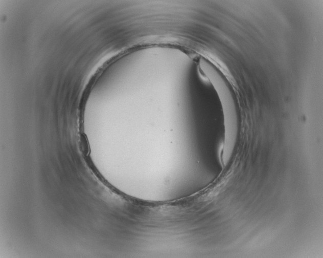 X0000074930992200609291753