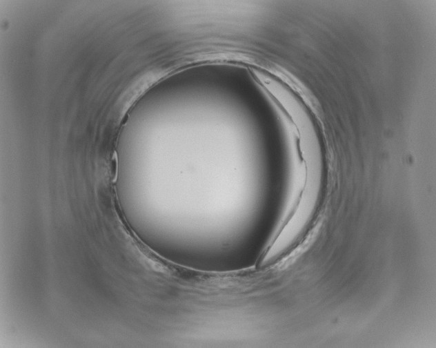 X0000074930993200609291752