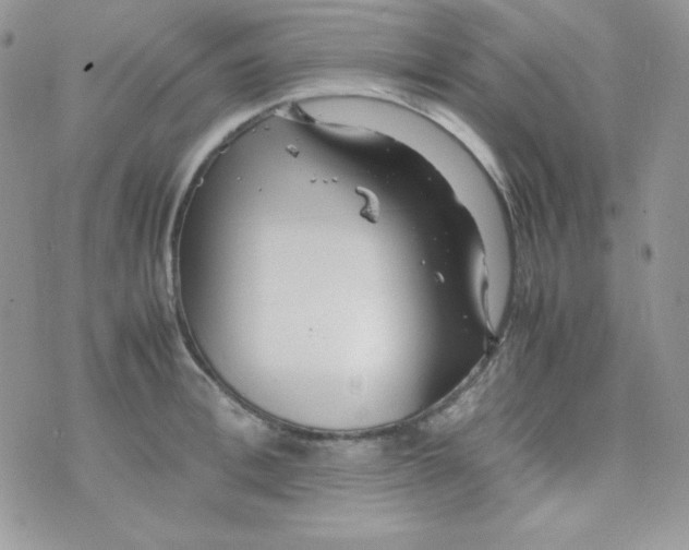 X0000074930996200609291752