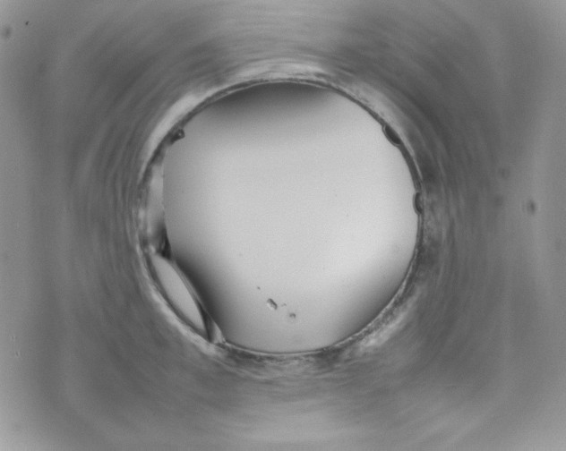 X0000074930997200609291752