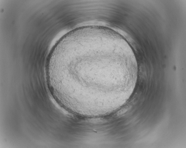 X0000074930998200609291752