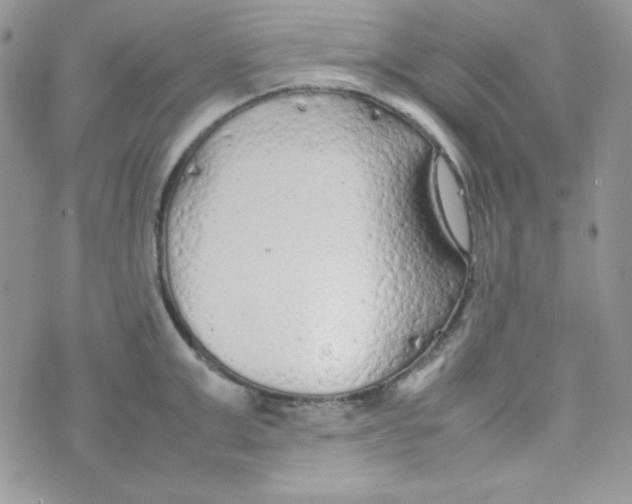 X0000074930999200609291752