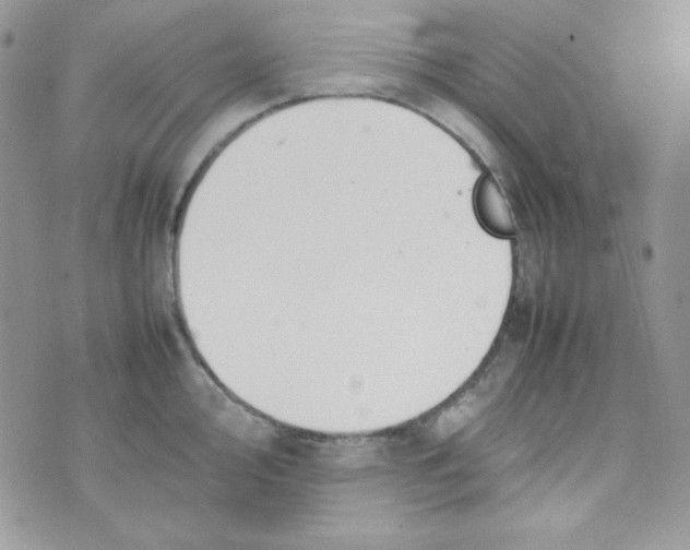 X0000074931000200609291752