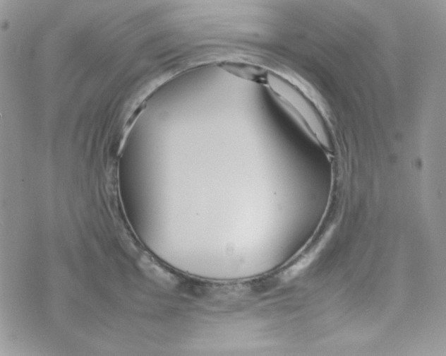 X0000074931001200609291752