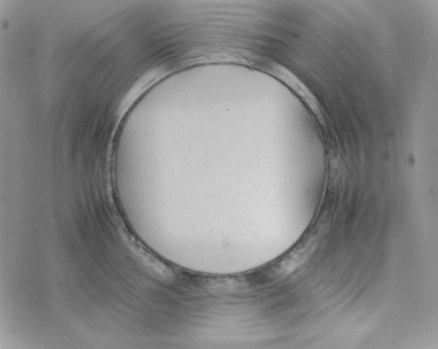 X0000074931002200609291752