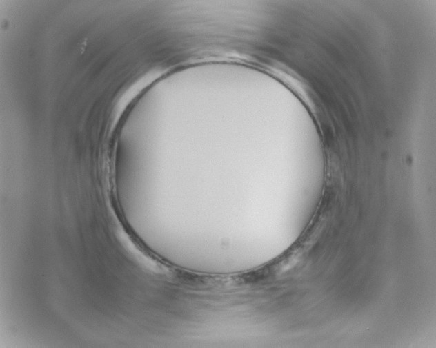 X0000074931003200609291752