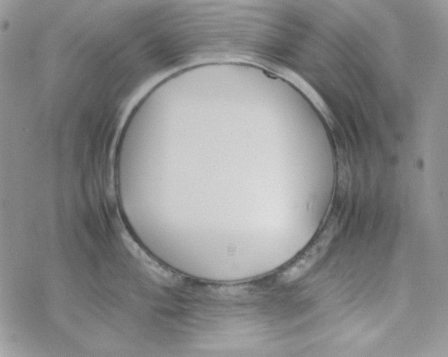 X0000074931004200609291752