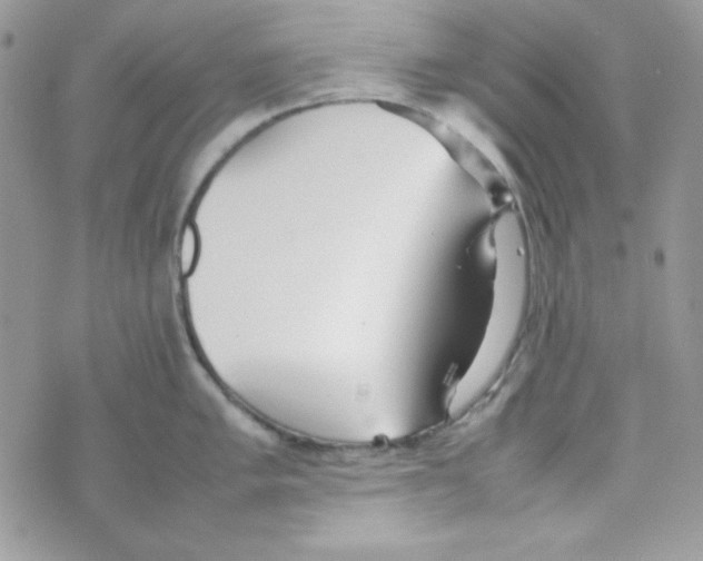 X0000074931005200609291752