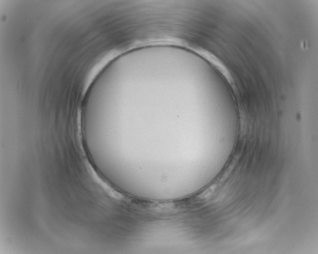 X0000074931006200609291752