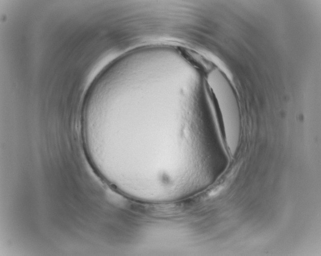 X0000074931007200609291752