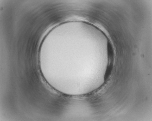 X0000074931008200609291752