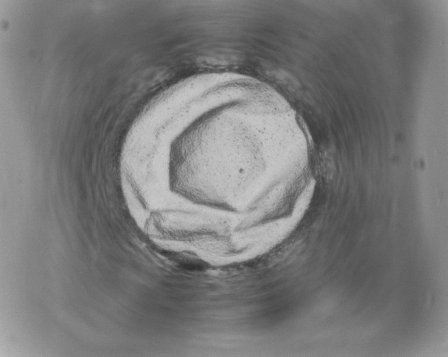 X0000074931009200609291751