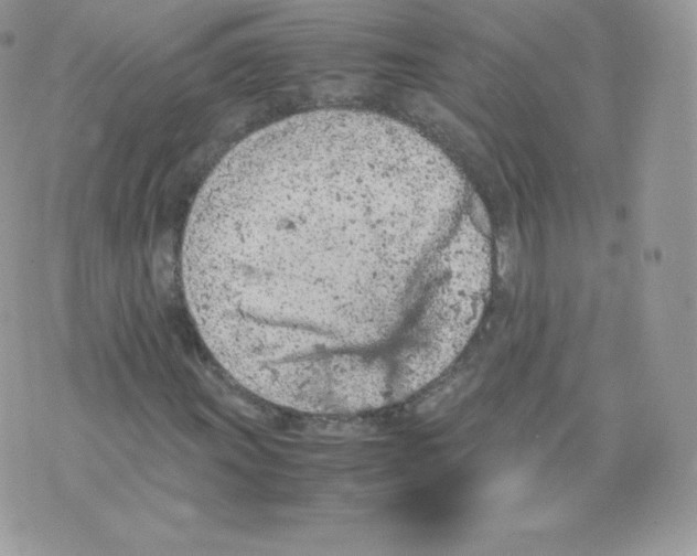 X0000074931011200609291752