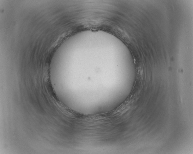 X0000074931012200609291752