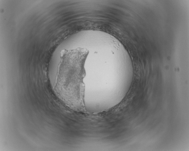 X0000074931013200609291752