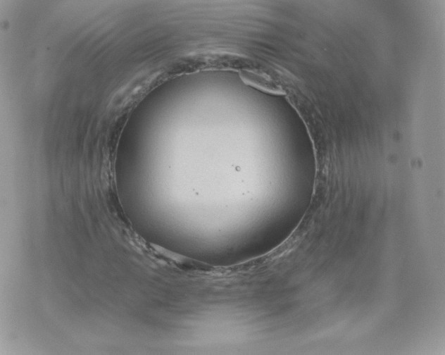 X0000074931014200609291752