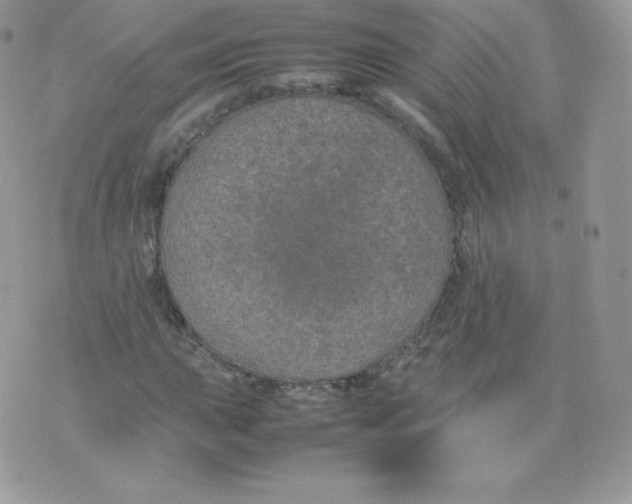 X0000074931015200609291752