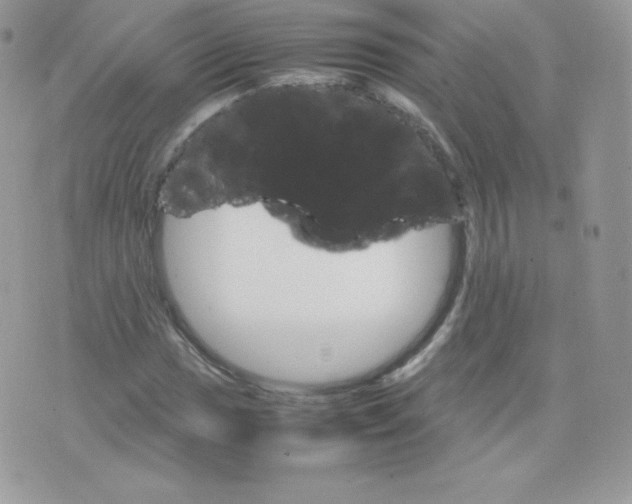 X0000074931017200609291752