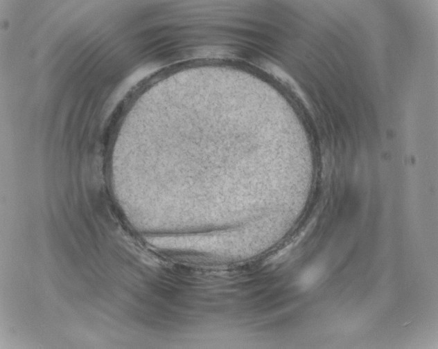 X0000074931019200609291752