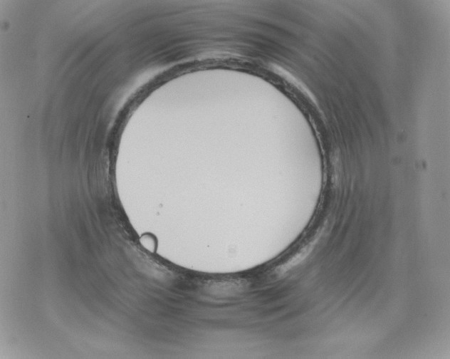 X0000074931021200609291752